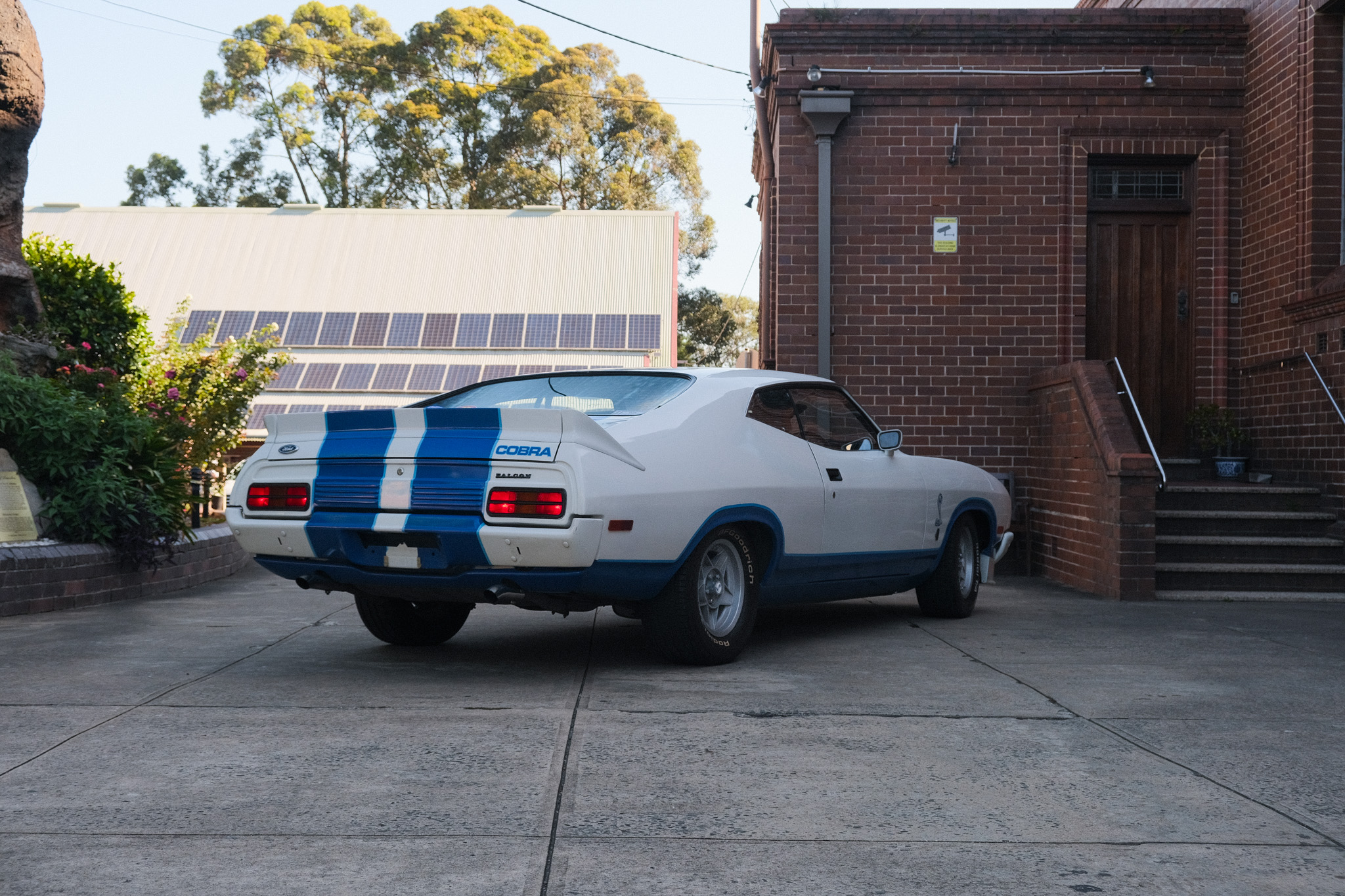 Ford Falcon Cobra